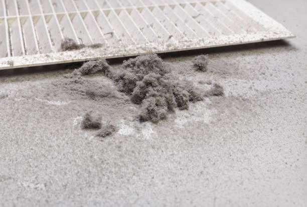 Best Affordable Air Duct Cleaning  in Mililani Town, HI