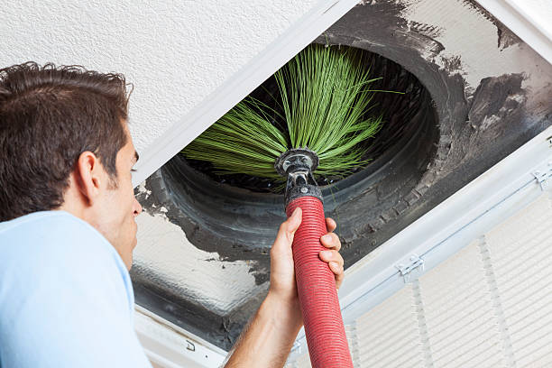 Best Affordable Duct Cleaning Services  in Mililani Town, HI